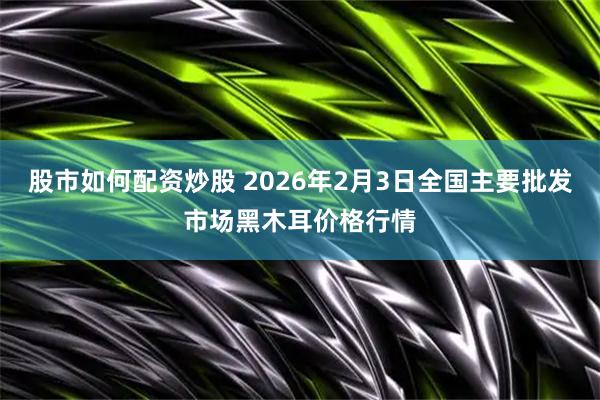 股市如何配资炒股 2026年2月3日全国主要批发市场黑木耳价格行情